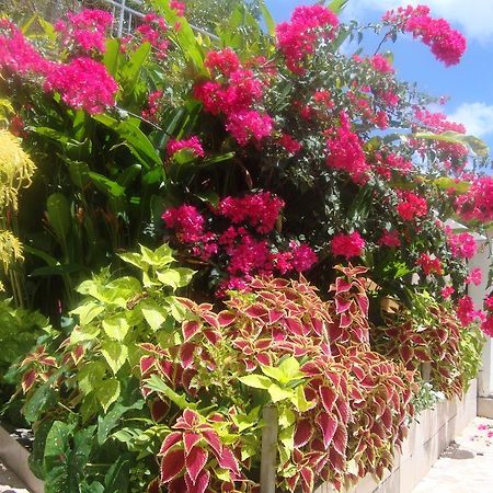 Residence Madelia Port-Louis Exterior photo