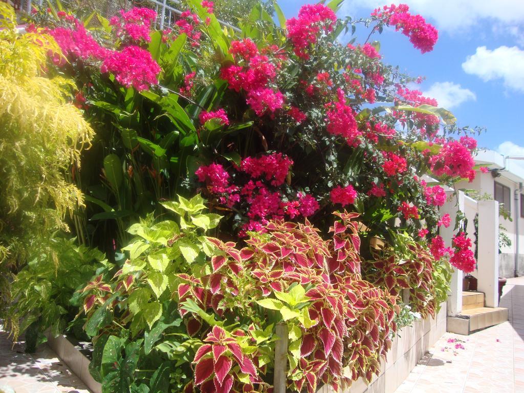 Residence Madelia Port-Louis Exterior photo